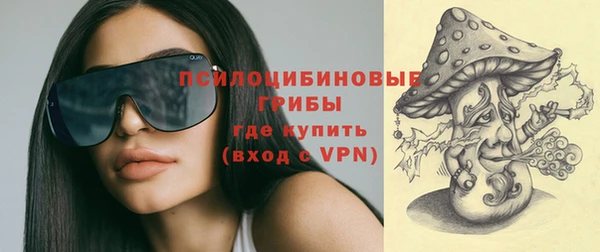 дмт Белокуриха