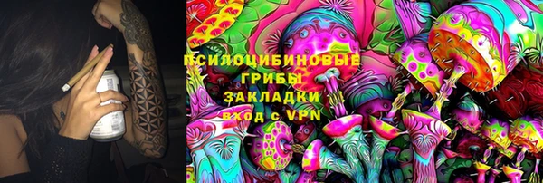 мяу мяу мука Горно-Алтайск