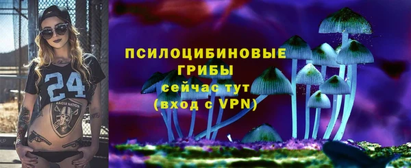 дмт Белокуриха