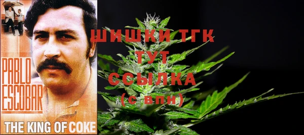 дмт Белокуриха