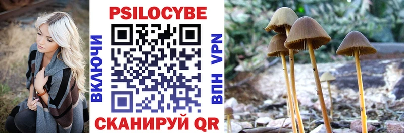 Галлюциногенные грибы Cubensis  Мглин 